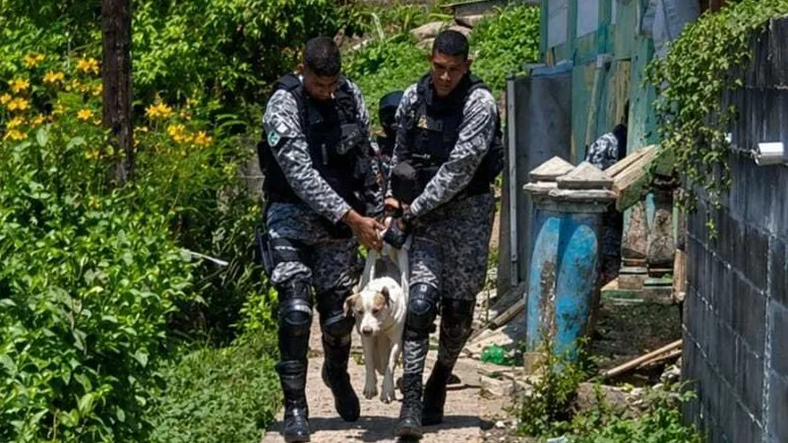 El can fue trasladado por agentes del servicio lince desde Sinaí, San Migueito para recibir atención médica