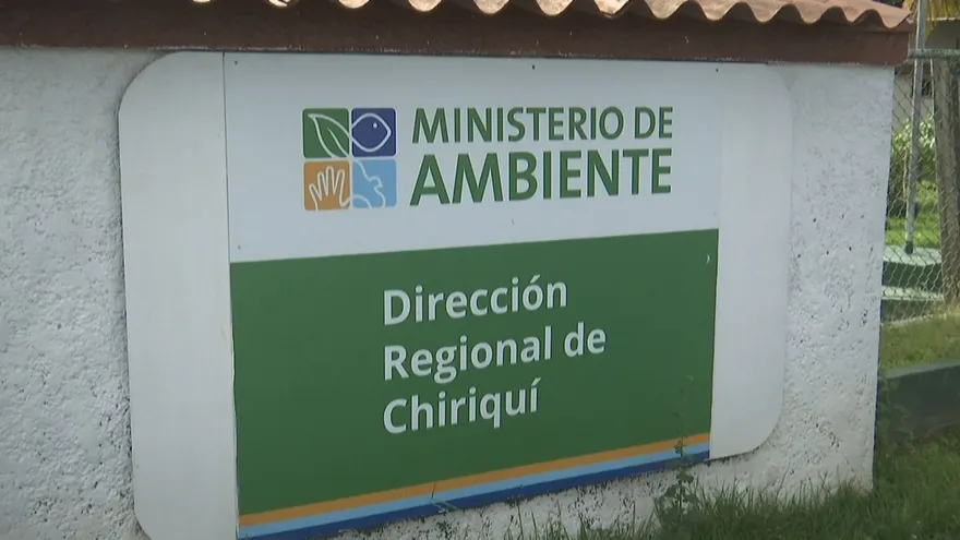 Abren proceso contra cuatro hombres por tala en Parque Internacional la Amistad