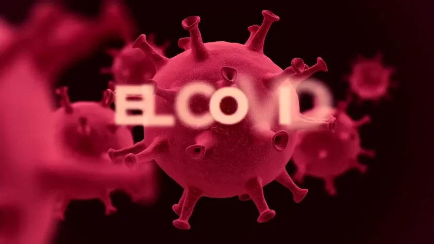 El Covid en 1 Minuto 1 de abril de 2020 Cápsula 2