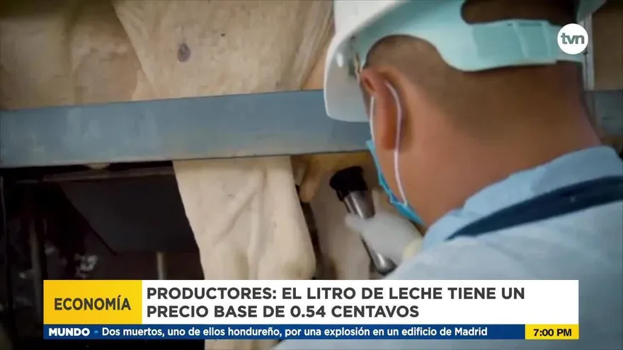 Precios de la leche y sus derivados están impactados por el alto costo de los insumos