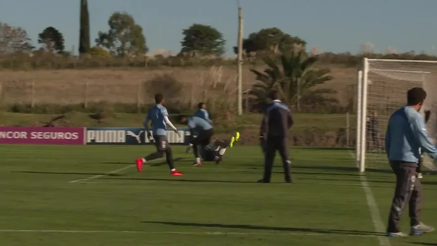 Uruguay apelará por Luis Suárez