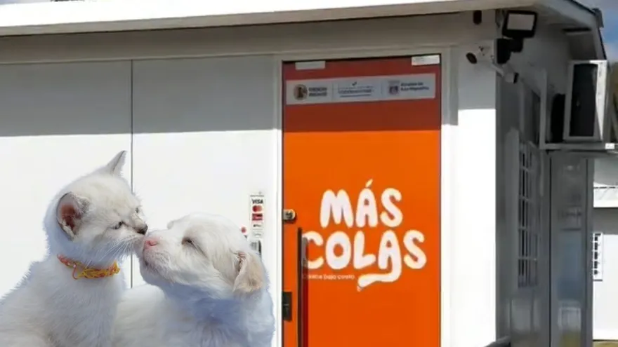 Entradan principal de la clínica veterinaria Más Colas