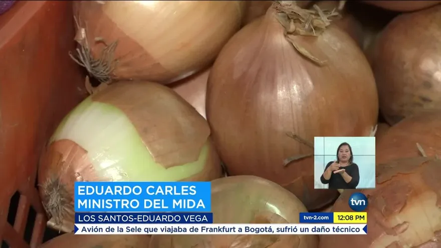 Decomisan cebolla holandesa del Mercado de Abastos y Supermercados