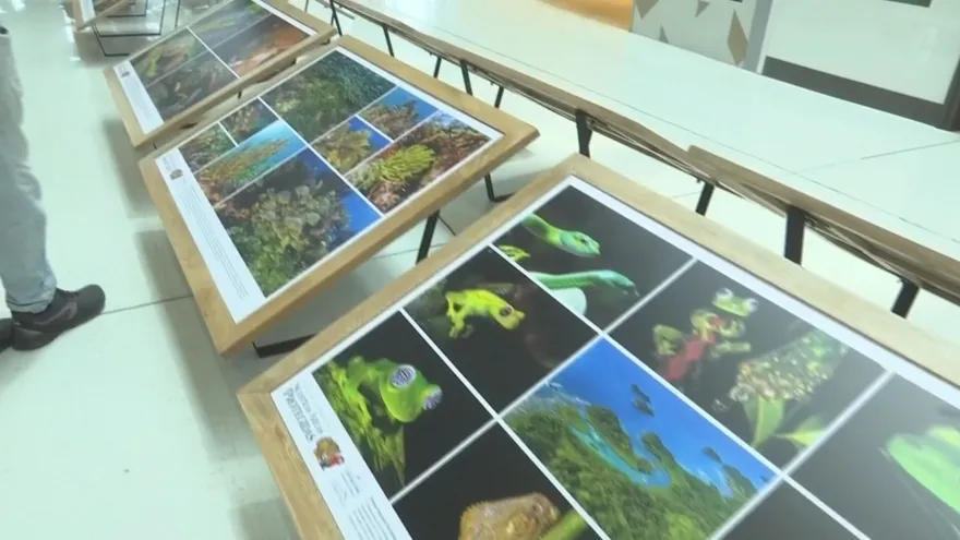 Exposición sobre áreas protegidas llega a Tocumen y se extenderá a otras áreas para acercar la biodiversidad al público