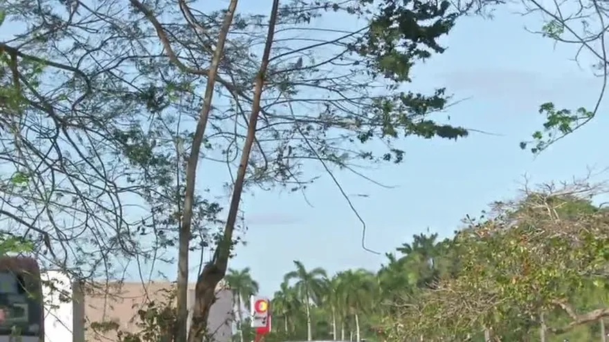 Fuertes vientos afectarán Panamá, producto de frente frío