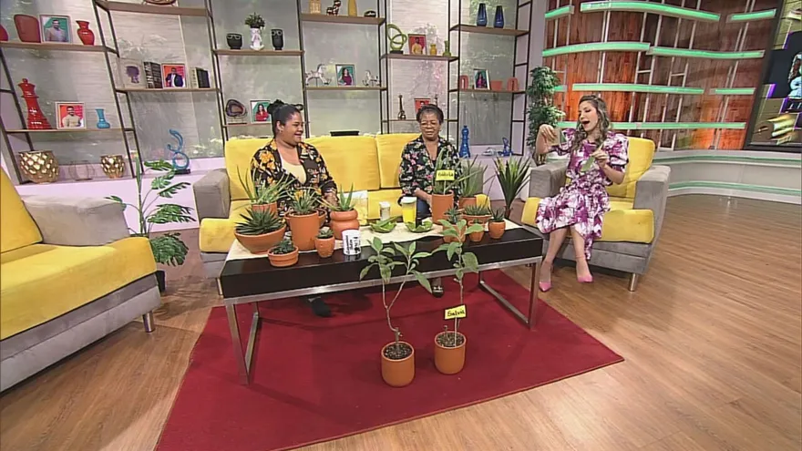 Remedios de la abuela