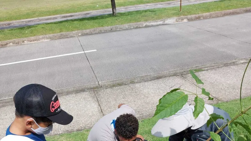 Más de 100 familias participaron de la actividad.