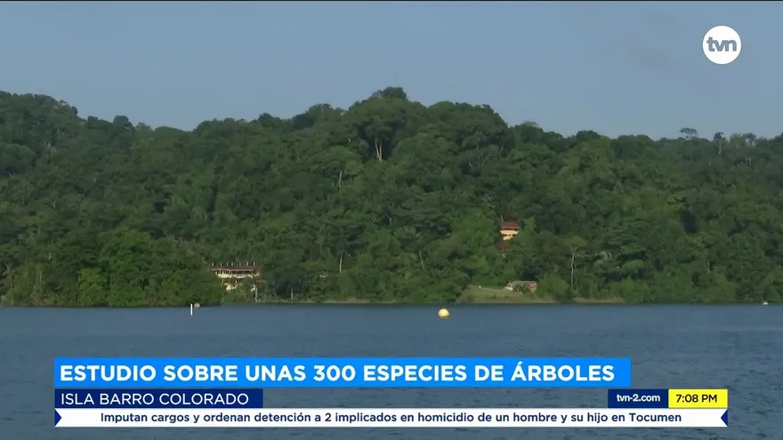 Panamá, bosques tropicales y su relación con cambio climático