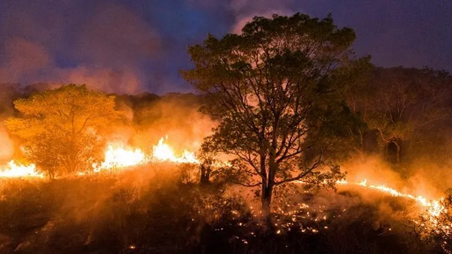 Incendios 'sin precedentes' arrasan la costa oeste de EEUU