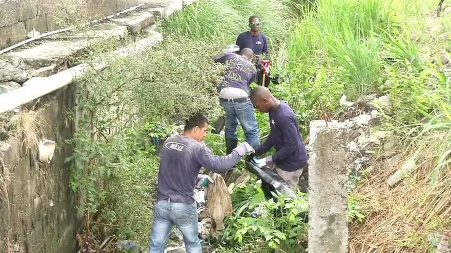 MIVI realiza jornada de limpieza