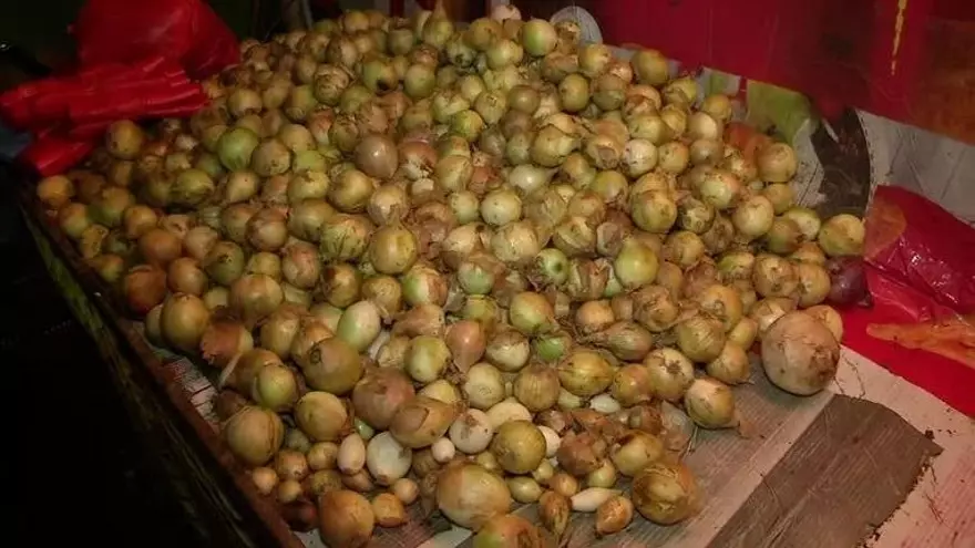 Productores de Chiriquí, preocupados por escasez de cebolla