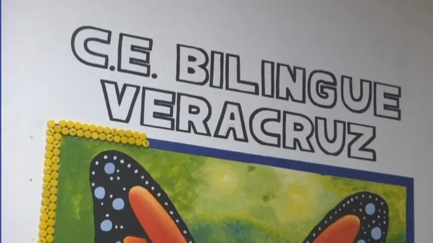 Colegio Bilingüe de Veracruz no darán inicio a clases presenciales