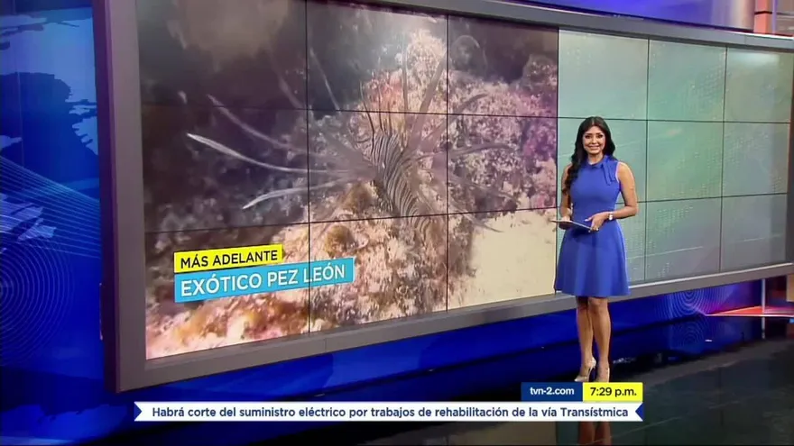 Noticiero Estelar 25 de septiembre del 2019 - Bloque 4