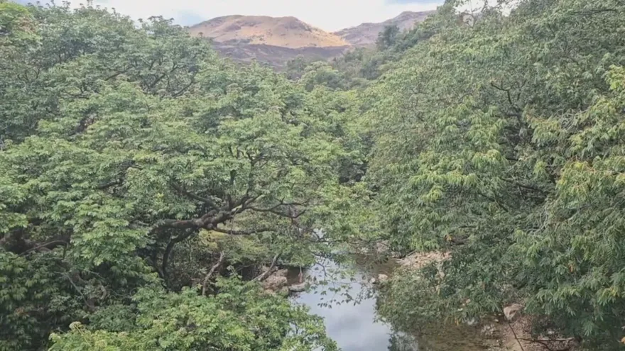 La crisis de abastecimiento de agua que afecta a varias comunidades y distritos de la provincia de Veraguas ha reactivado el llamado de residentes y líderes comunitarios para construir una nueva planta potabilizadora en el norte de la provincia, específicamente en el río Santa María, en el distrito de San Francisco.