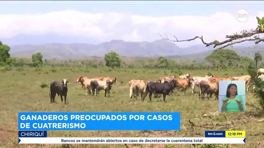 Senafornt solicita a productores a extremar medidas de seguridad en fincas