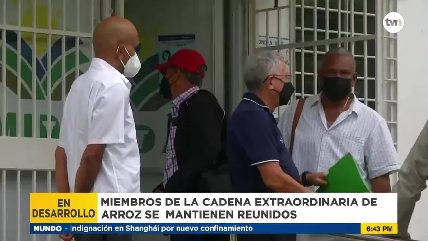 Miembros de cadena extraordinaria de arroz se mantienen reunidos
