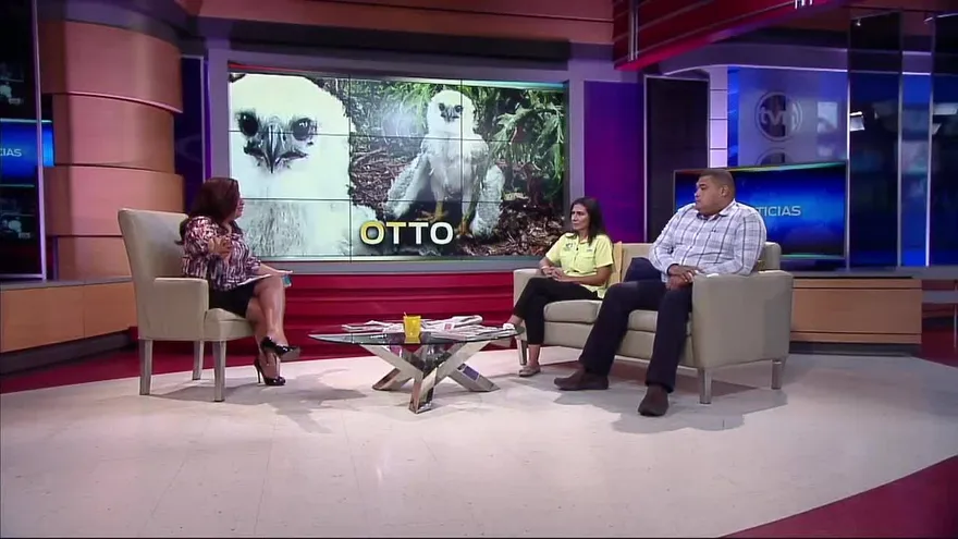 Ambientalistas se refieren al  proceso de crecimiento de Otto