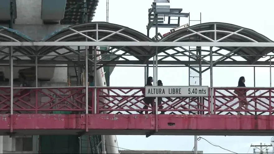 Muertes por atropello van en aumento