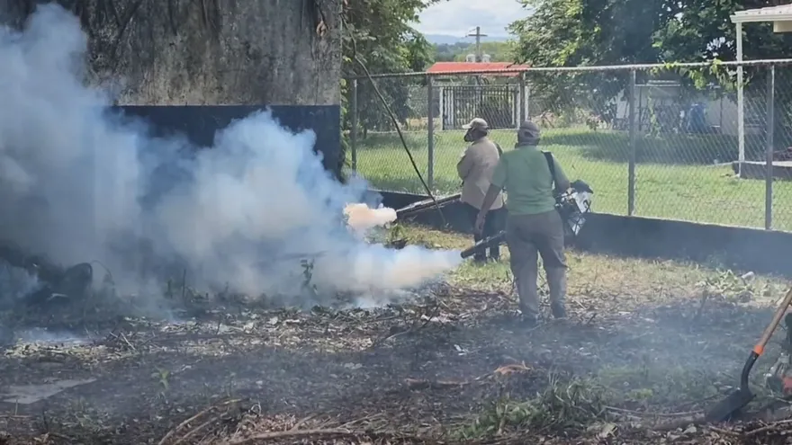 Incrementan los casos de dengue en el distrito de David