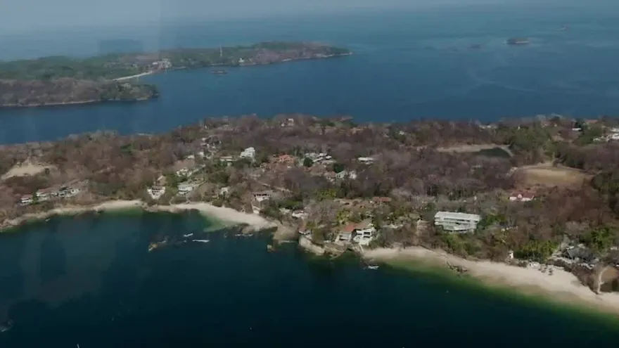 Isla de Contadora es amenazada por la tala de árboles