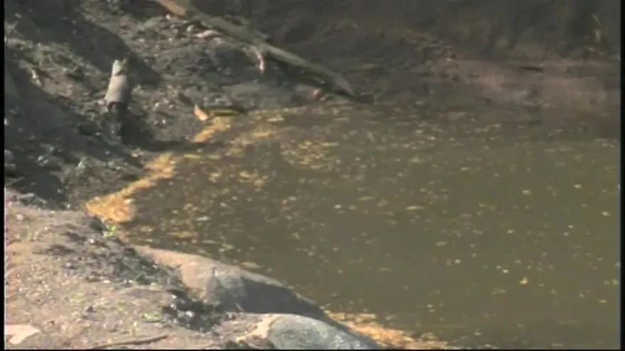 Autoridades verifican estado actual del río Parita