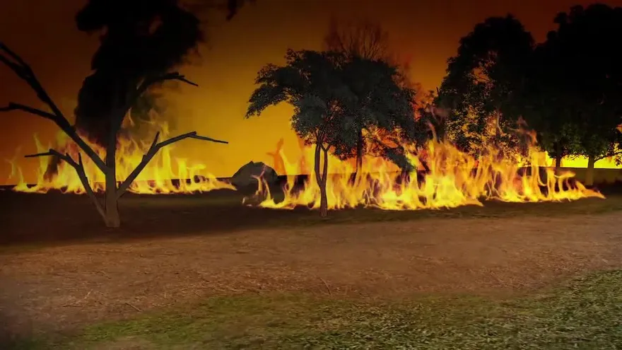 Videografia: Incendios Forestales