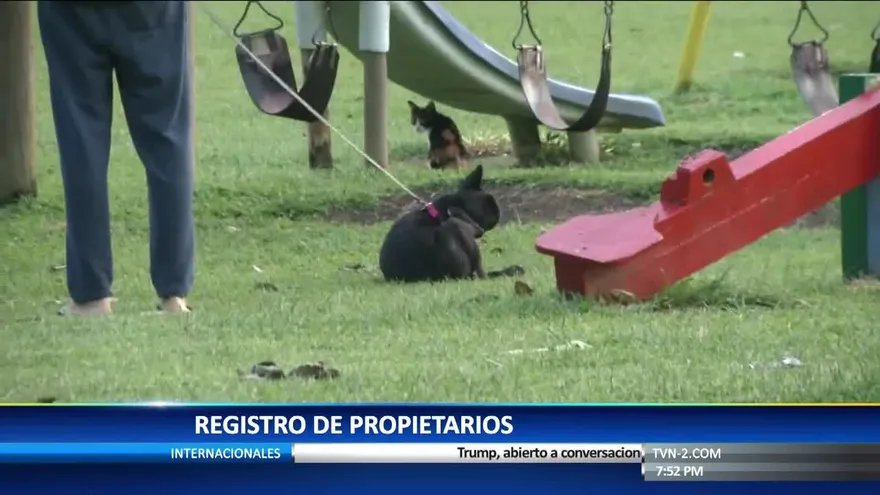 Discutirán Ley sobre la tenencia de perros peligrosos