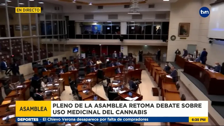 Asamblea retoma discusión de ley sobre canabis medicinal
