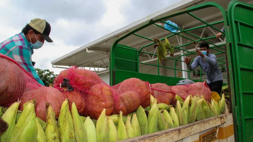 El maíz se ha ido incorporando a las bolsas que se distribuyen en la población.