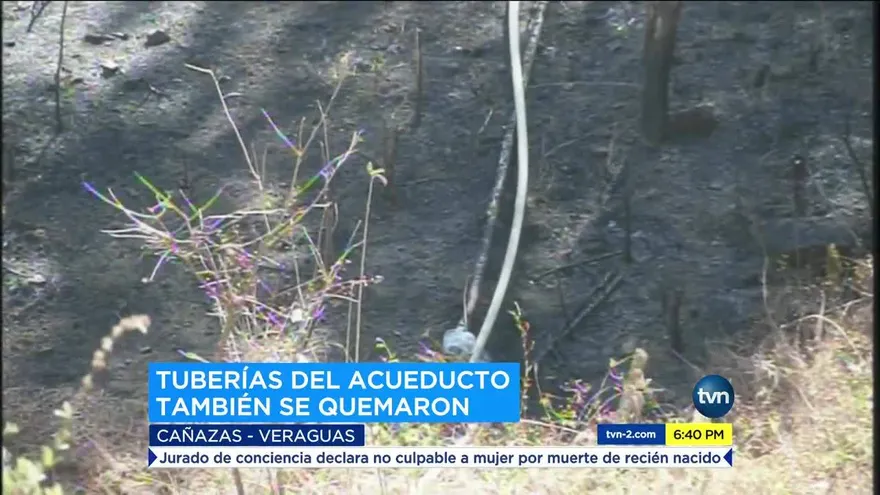 Autoridades luchan por controlar incendio forestal en Cañazas