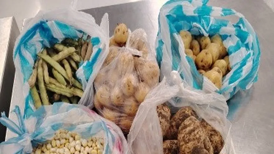 Los funcionarios del MIDA se encargan de inspeccionar los productos agropecuarios que fueron decomisados durante operativo de control sanitario.