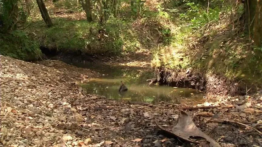 La sequía también está afectando la provincia de Darién
