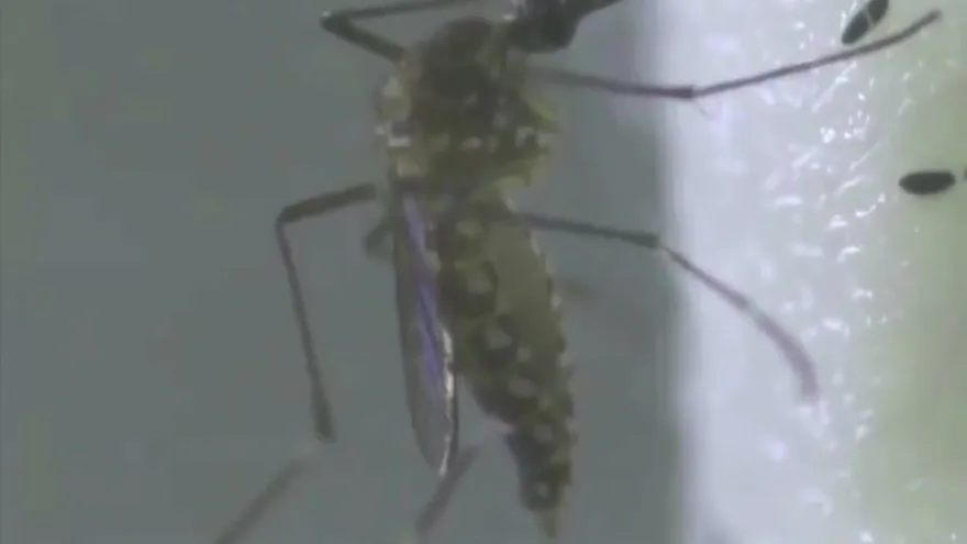 Autoridades de salud siguen muy de cerca casos epidemiológicos