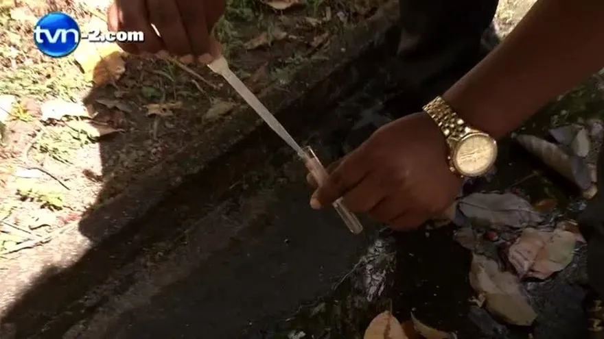 Alerta por dengue y vigilancia por virus de chikungunya