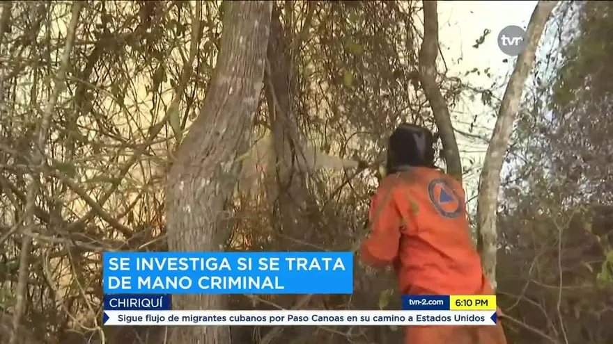 Bomberos y Cruz Roja acuden a sofocar incendio en Chiriquí