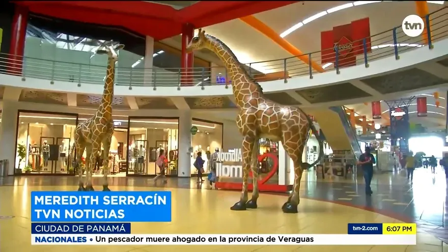 Reapertura de compras presenciales no fue la esperada