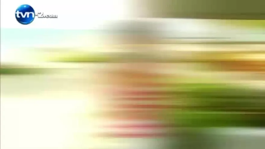 Gastronomía Bocas Del Toro