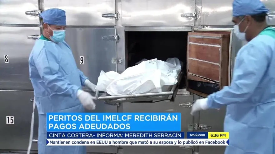 Peritos del Imelcf recibirán pagos adeudados en 2019