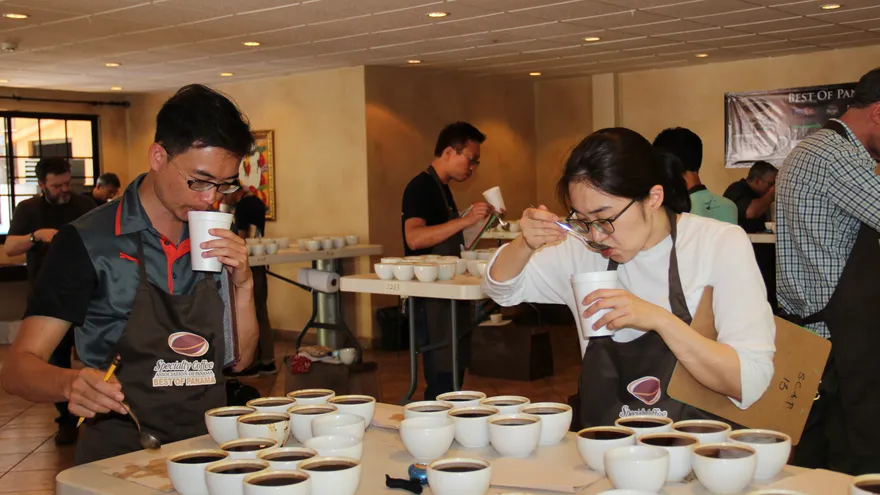 Jueces analizan una variedad de café de las 80 que concursan en la cata "The Best of Panama 2016" que se realiza en Boquete, Chiriquí (Panamá).