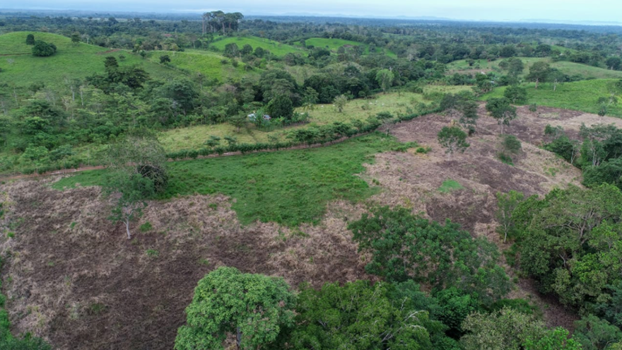 MiAmbiente y la FAO restaurarán 10 mil hectáreas de ecosistemas: Azuero y Darién son la prioridad