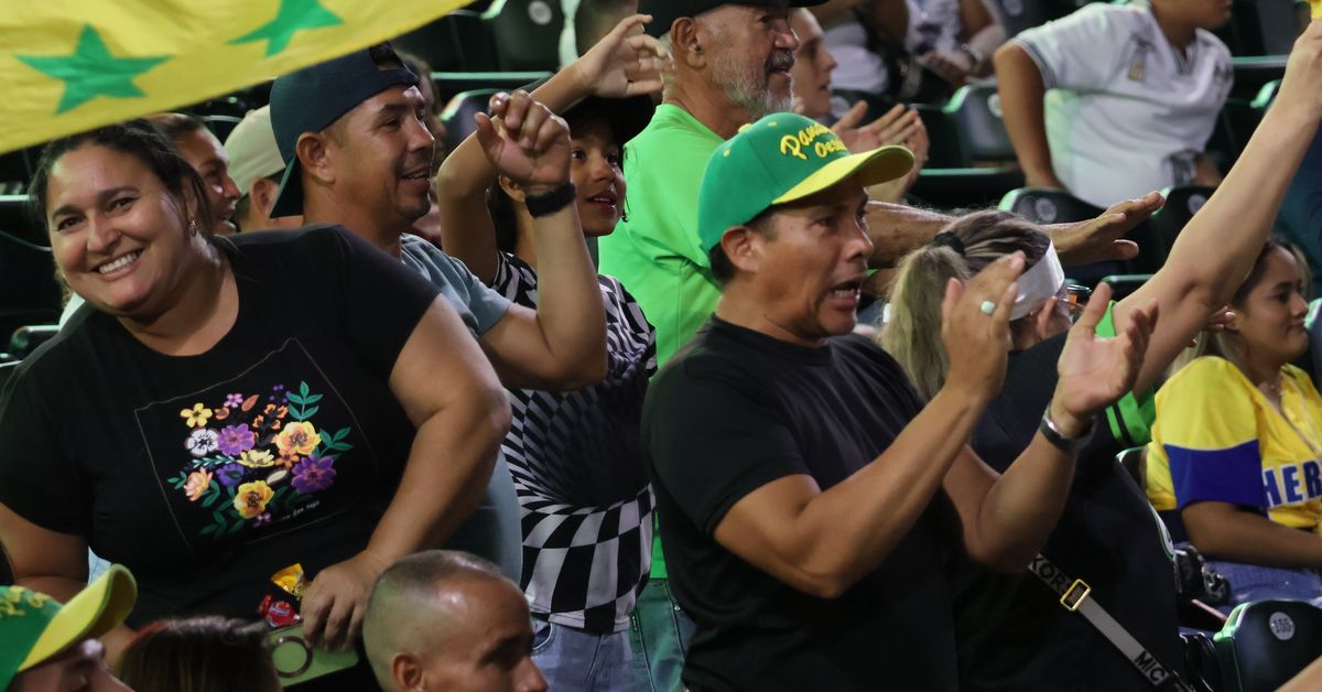 Béisbol Mayor 2026| Más de 100 mil personas asistieron a los estadios en el campeonato nacional, señala Fedebeis
