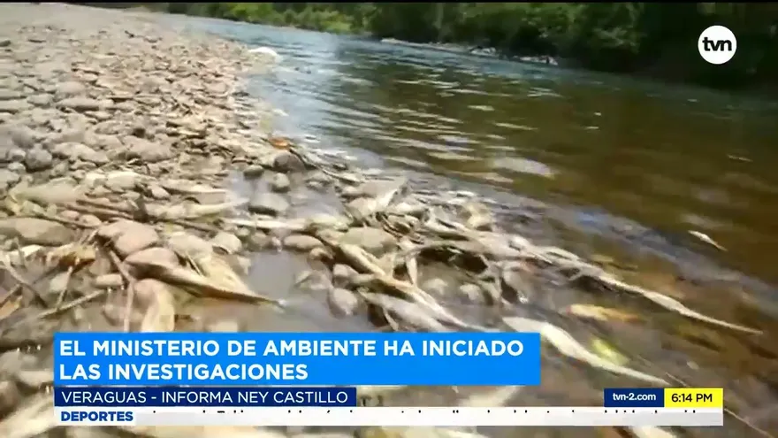 Denuncian mortandad de peces en rio Santa María