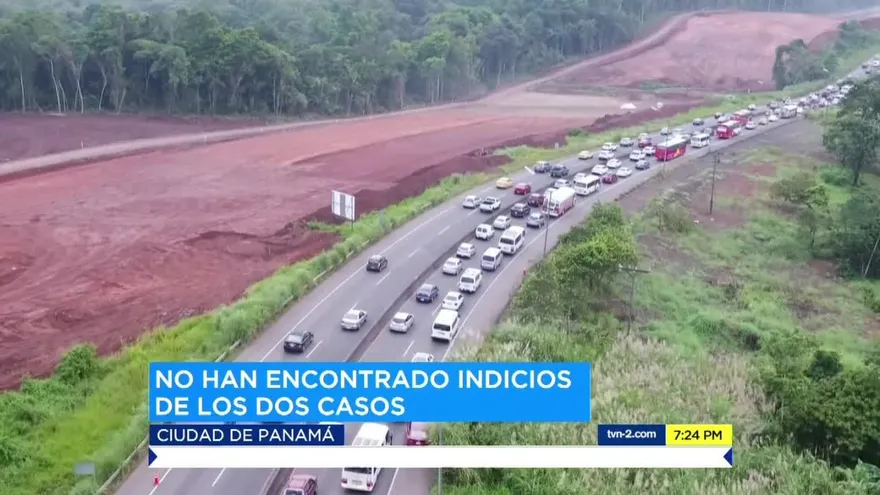Reportan ocelotes muertos en Vía Interamericana