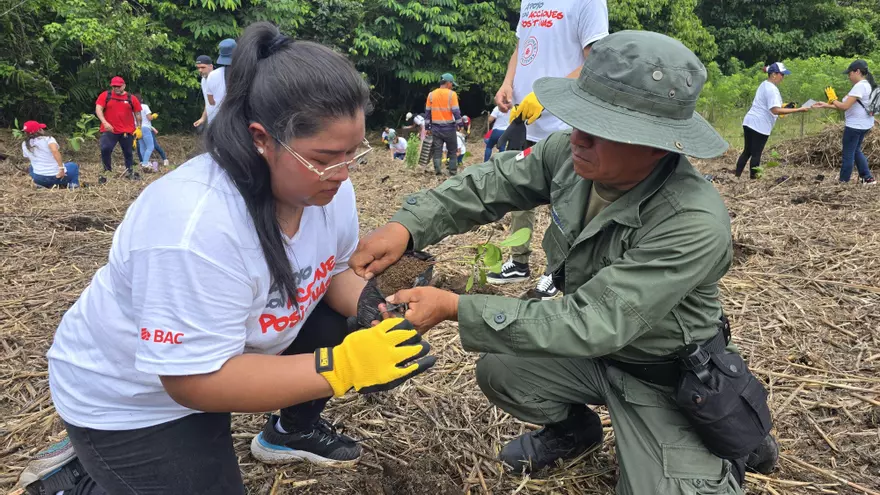 Guardaparques y voluntarios realizaron la siembra de las especies nativas