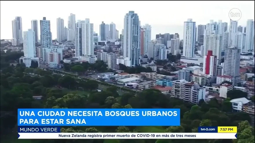 Mundo Verde: Los Bosques Urbanos