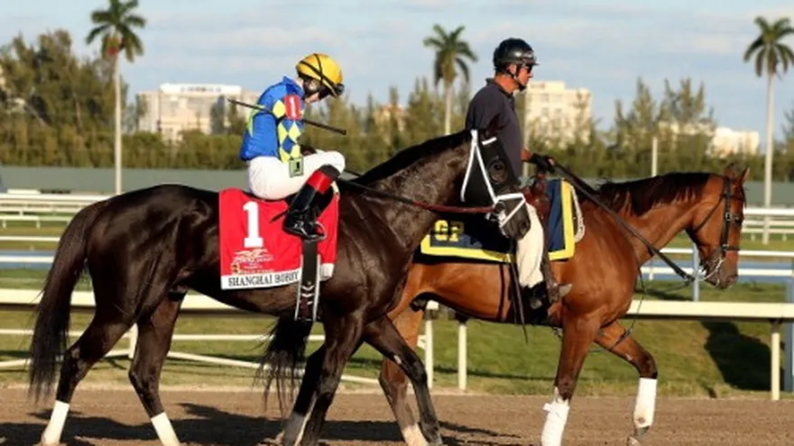 Gulfstream Park propone albergar serie caribeña