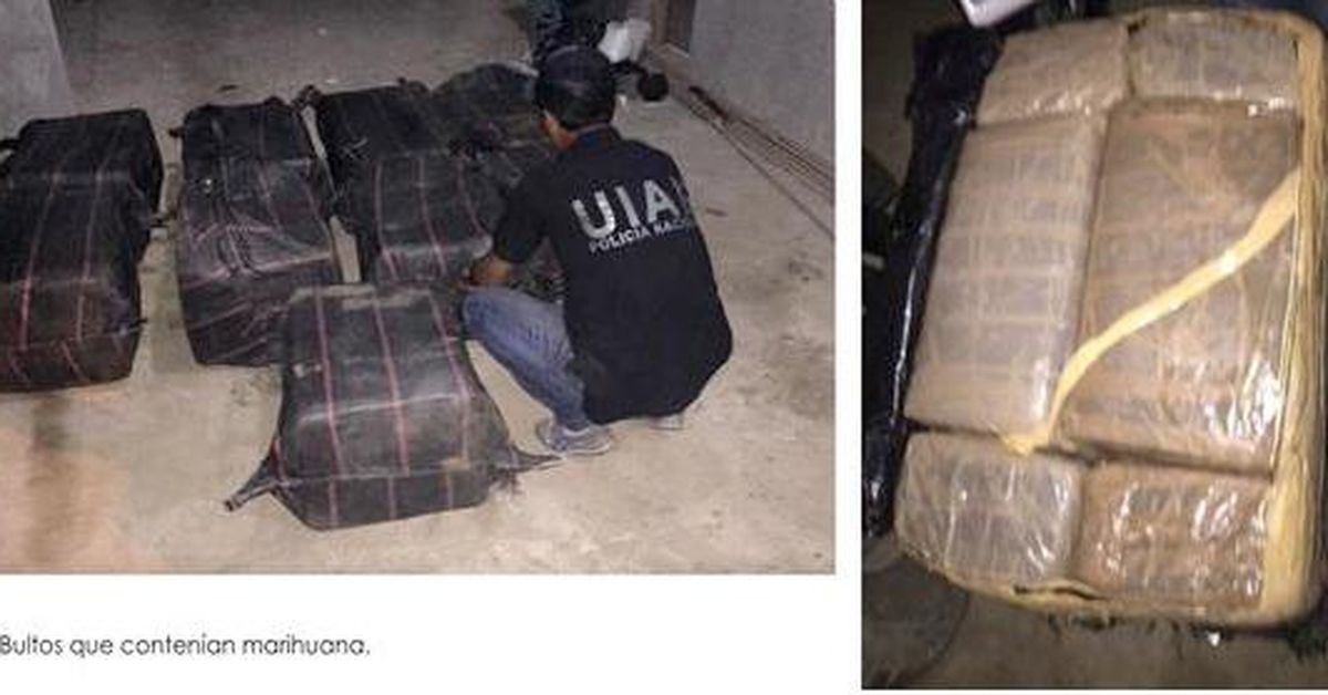 Capturan casi una tonelada de marihuana en Ecuador - Suramérica | Tvn ...