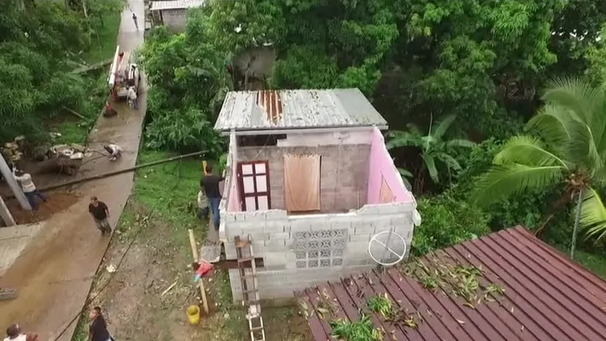 Árboles se convierten en amenaza para los panameños