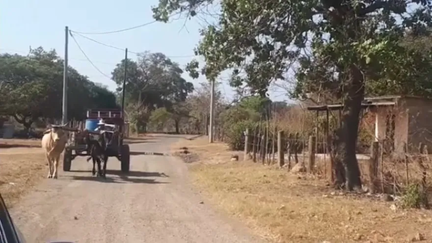 Residentes de Capellanía  en el distrito de Natá, cargando agua potable en carretas.