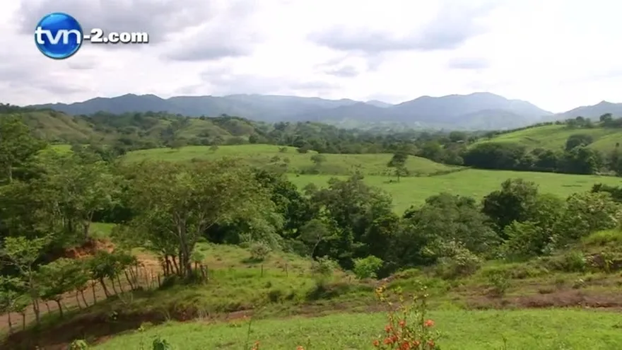 Conoce más del polémico caso Riego de Tonosí
